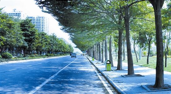 崖州灣科技城研學(xué)大道A段道路工程項(xiàng)目EPC、監(jiān)理