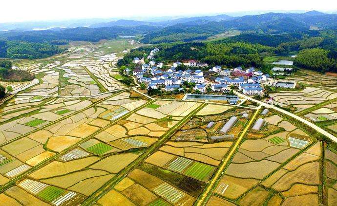 西安市臨潼區(qū)農(nóng)村“房地一體”宅基地和集體建設(shè)用地不動產(chǎn)權(quán)籍調(diào)查牽頭服務(wù)采購項目、地權(quán)籍調(diào)查服務(wù)采購項目