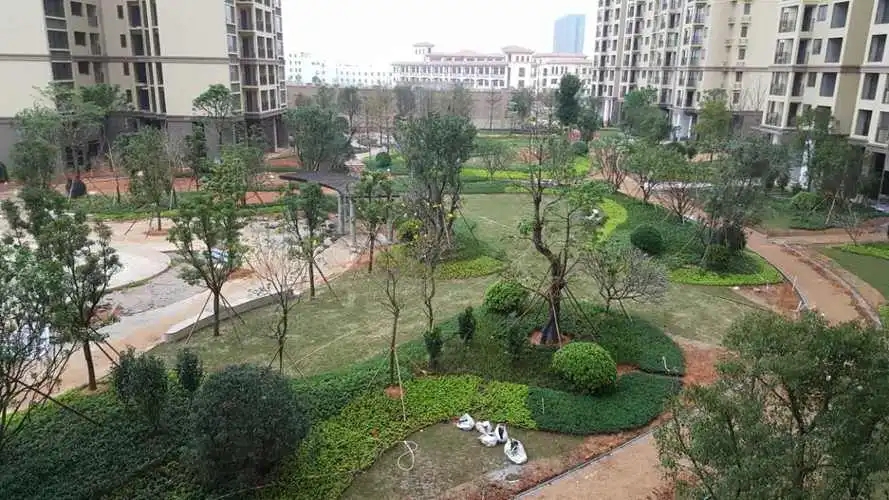 吳忠市區(qū)2014年才機(jī)廠片區(qū)、羅渠二期續(xù)建公共租賃住房、吳忠市市區(qū)工礦棚戶區(qū)、早元農(nóng)機(jī)市場片區(qū)項(xiàng)目綠化工程